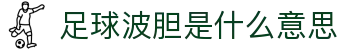 精准波胆赛果与历史比分查询,联赛走势参考与足球赛事推荐